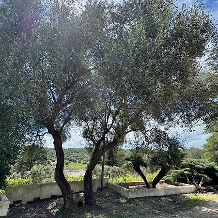 Tatil Evi Trulli Nel Bosco Itria Valley Ceglie Messapica