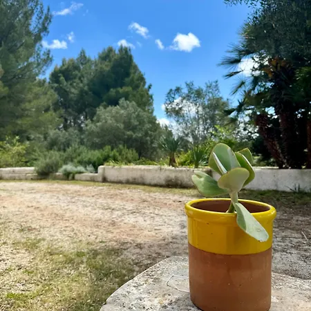 Holiday home Trulli Nel Bosco Itria Valley Ceglie Messapica