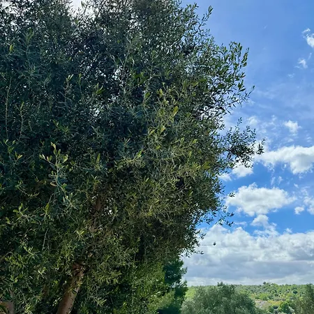 Trulli Nel Bosco Itria Valley Ceglie Messapica
